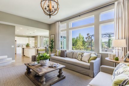 Sunlight shining into large living room with view of kitchen and backyard Sunlight shining into large living room with view of kitchen and backyard